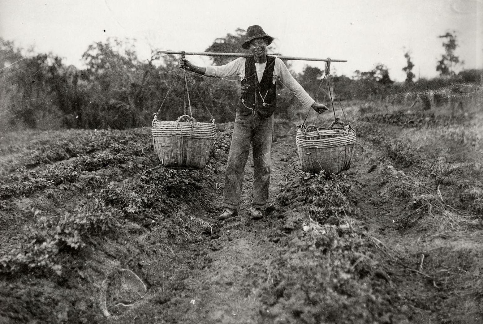 Chinese man carrying baskets in a field
